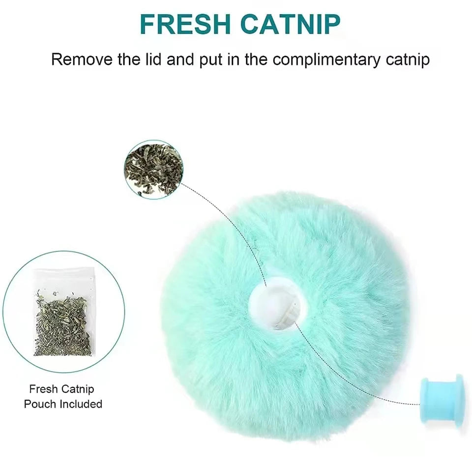 Chirping Cat Toy Balls | Medium to Large Sized Cat Toy