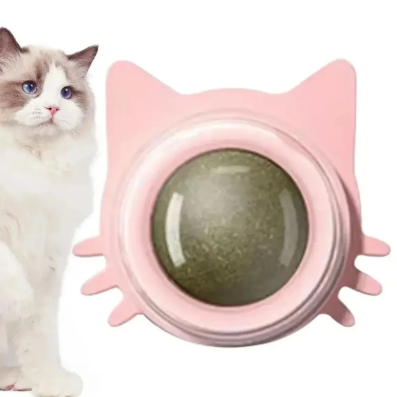 Wall-Mounted Catnip Ball | Medium to Large Sized Cat Toy