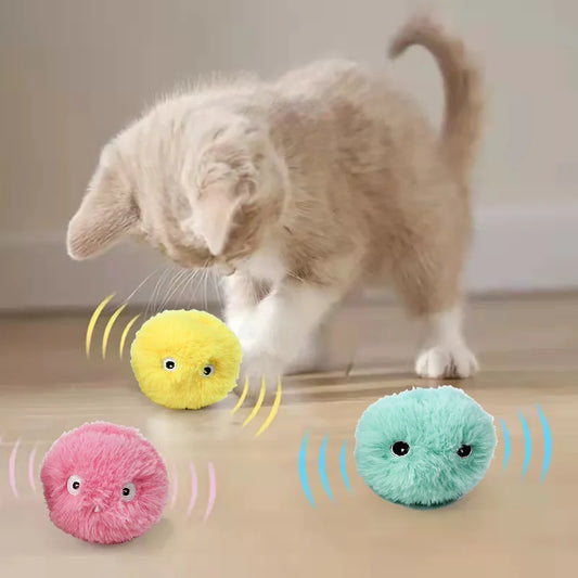 Chirping Cat Toy Balls | Medium to Large Sized Cat Toy