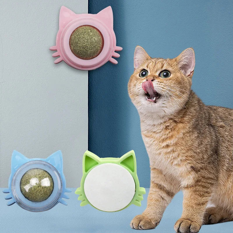 Wall-Mounted Catnip Ball | Medium to Large Sized Cat Toy